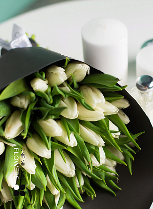 Букет из 25 тюльпанов "Арктик" Black