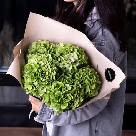 Букет из 5 гортензий "Меджикал" Green