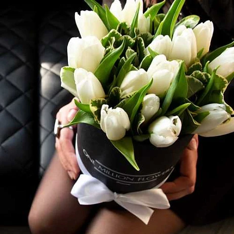 Коробка тюльпанов "Антарктика Лайт"